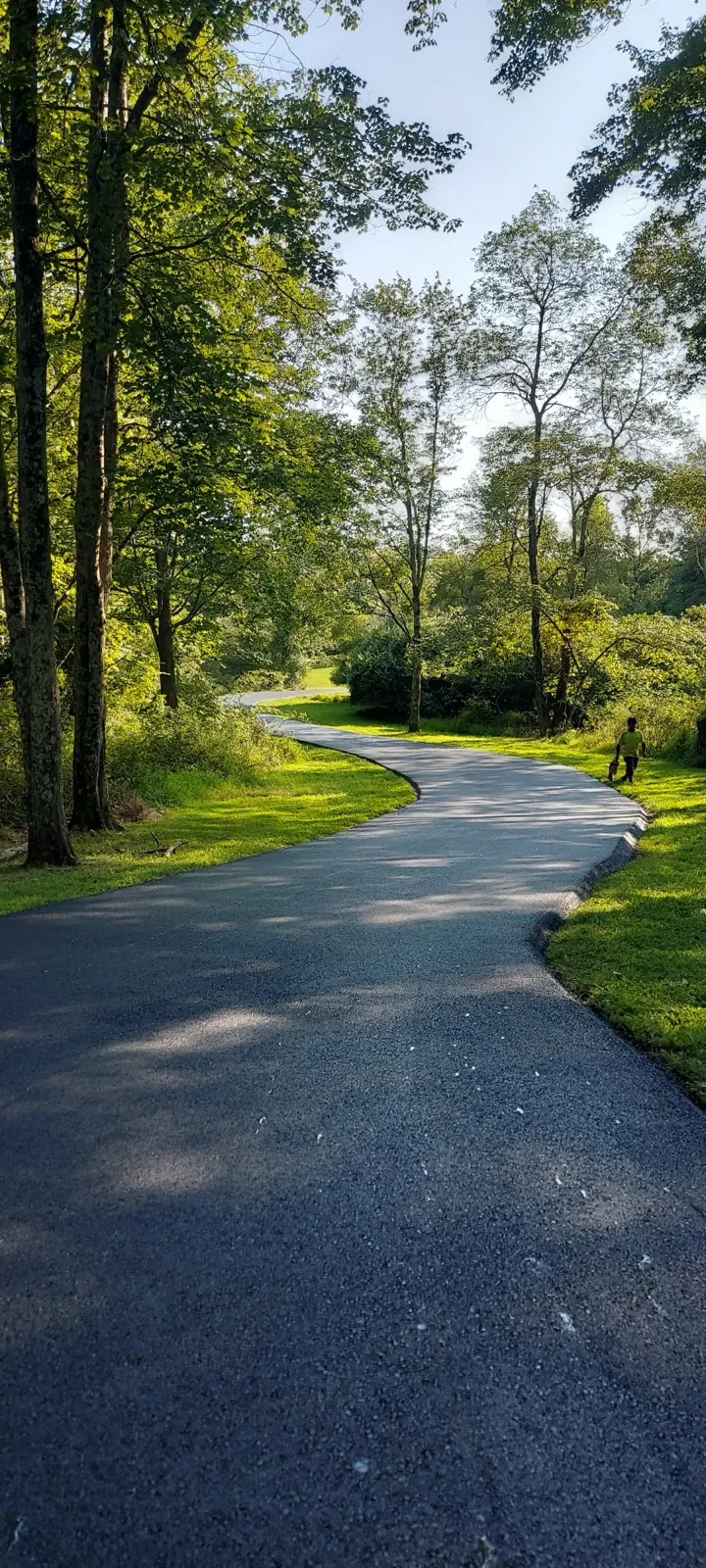Long tree-lined rural driveway