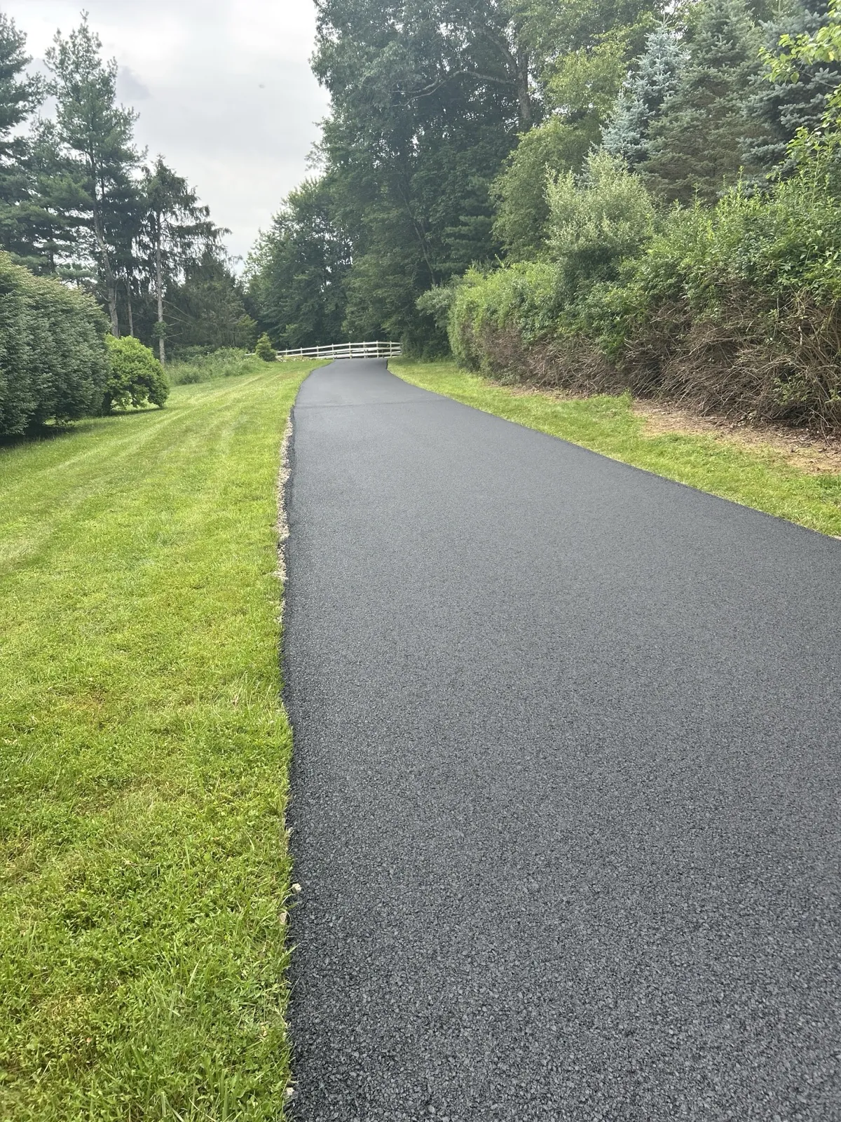 Driveway through trees, All County Paving NJ and PA