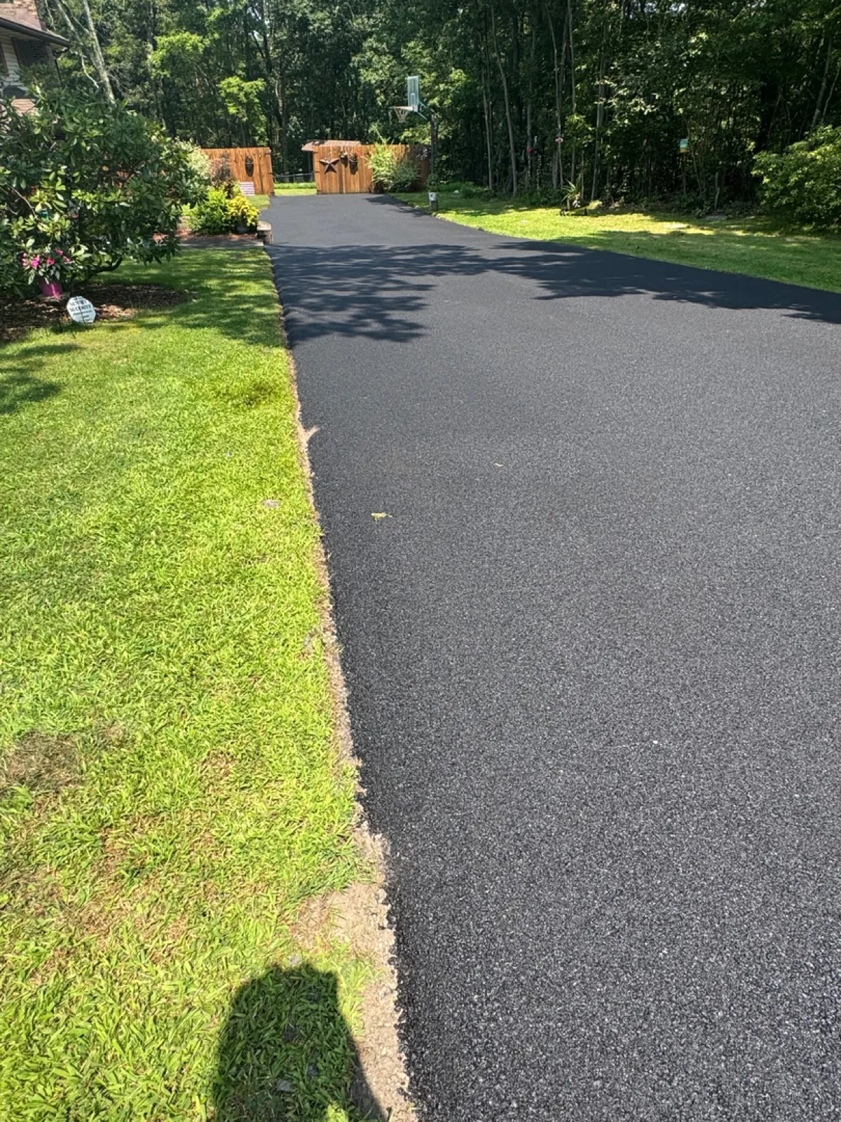 Driveway split-view with trees, All County Paving NJ and PA