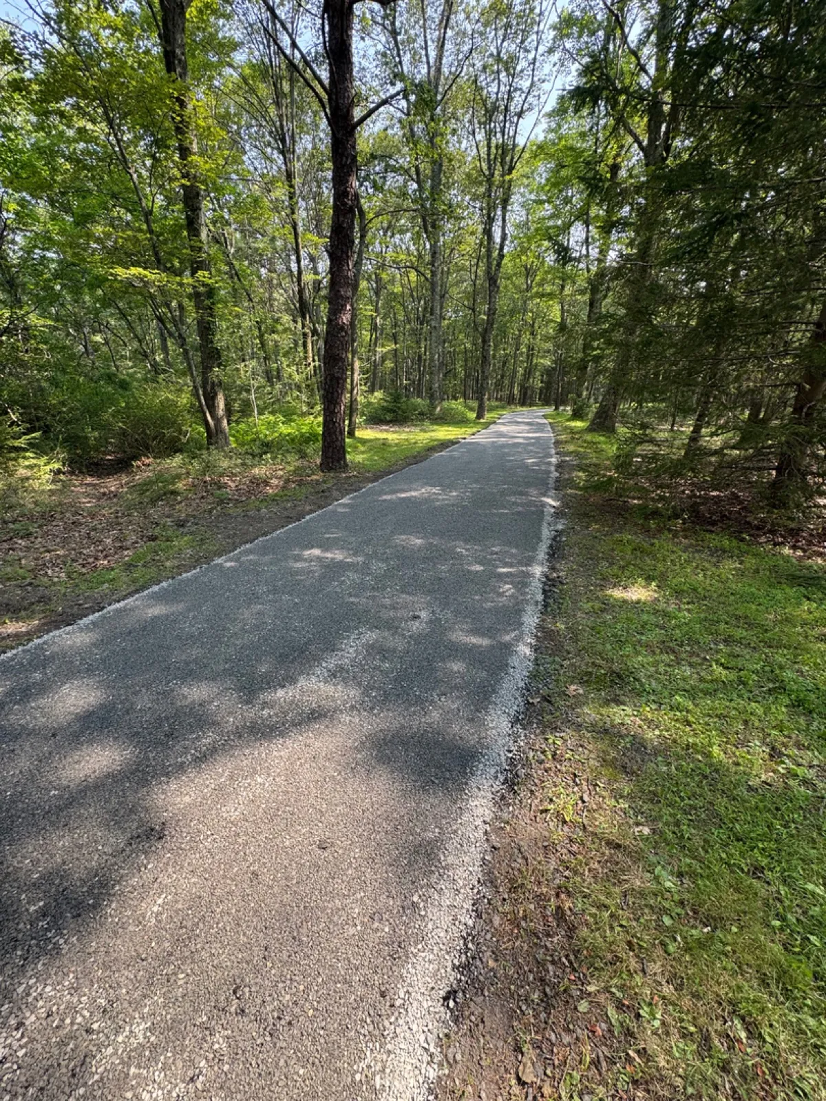 Wooded driveway with shadow lines, All County Paving NJ and PA