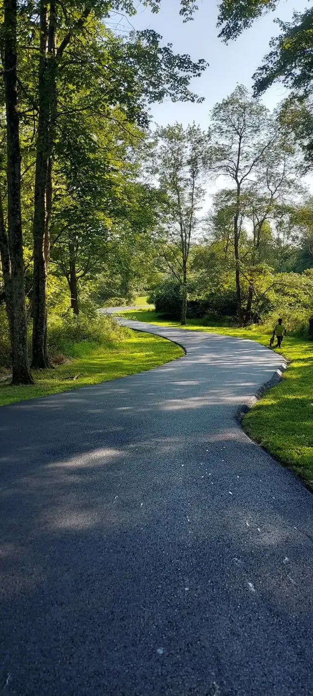 Long tree-lined driveway, paved by All County Paving in New Jersey