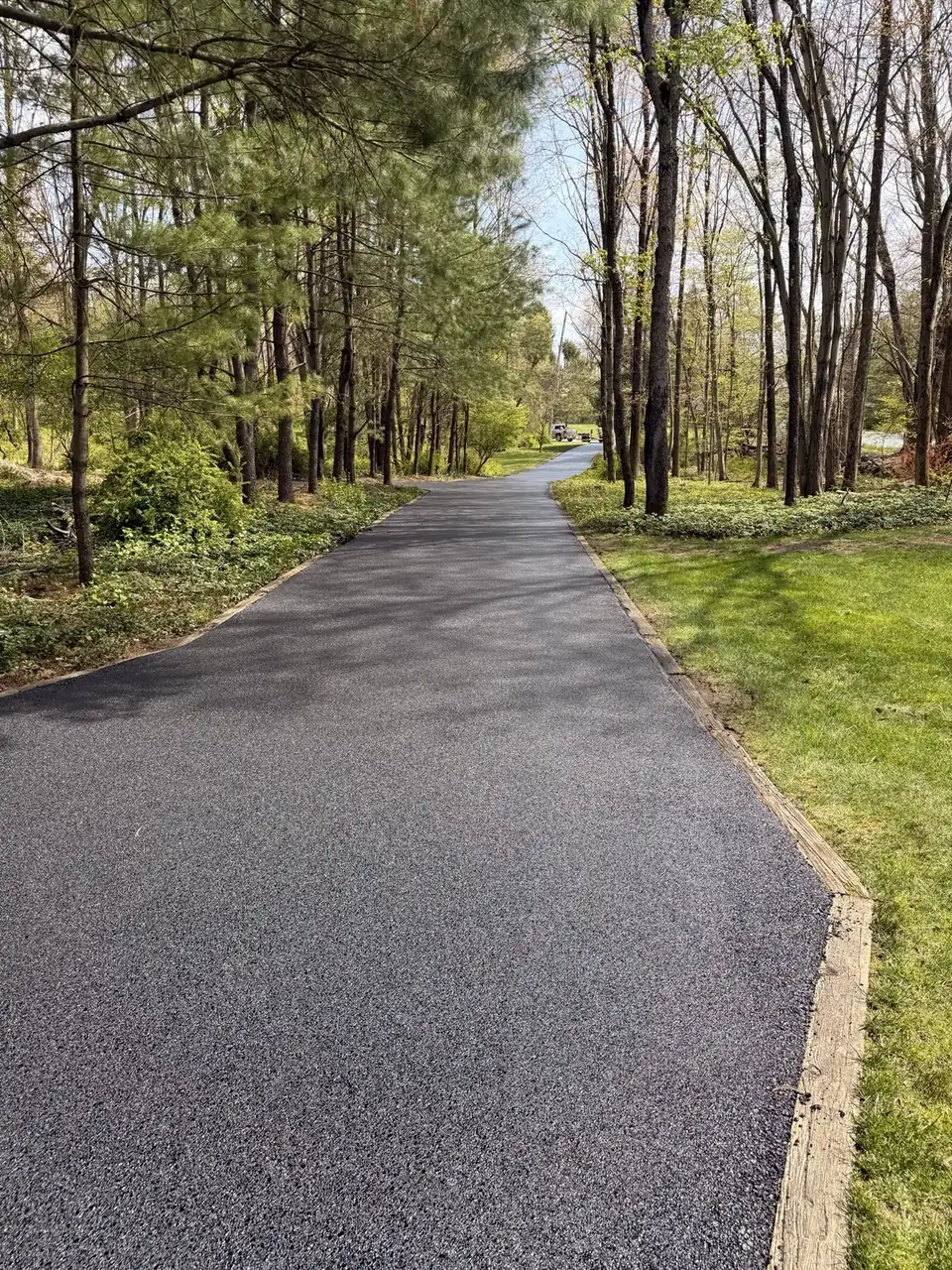 Pine-shaded driveway, paved by All County Paving in New Jersey
