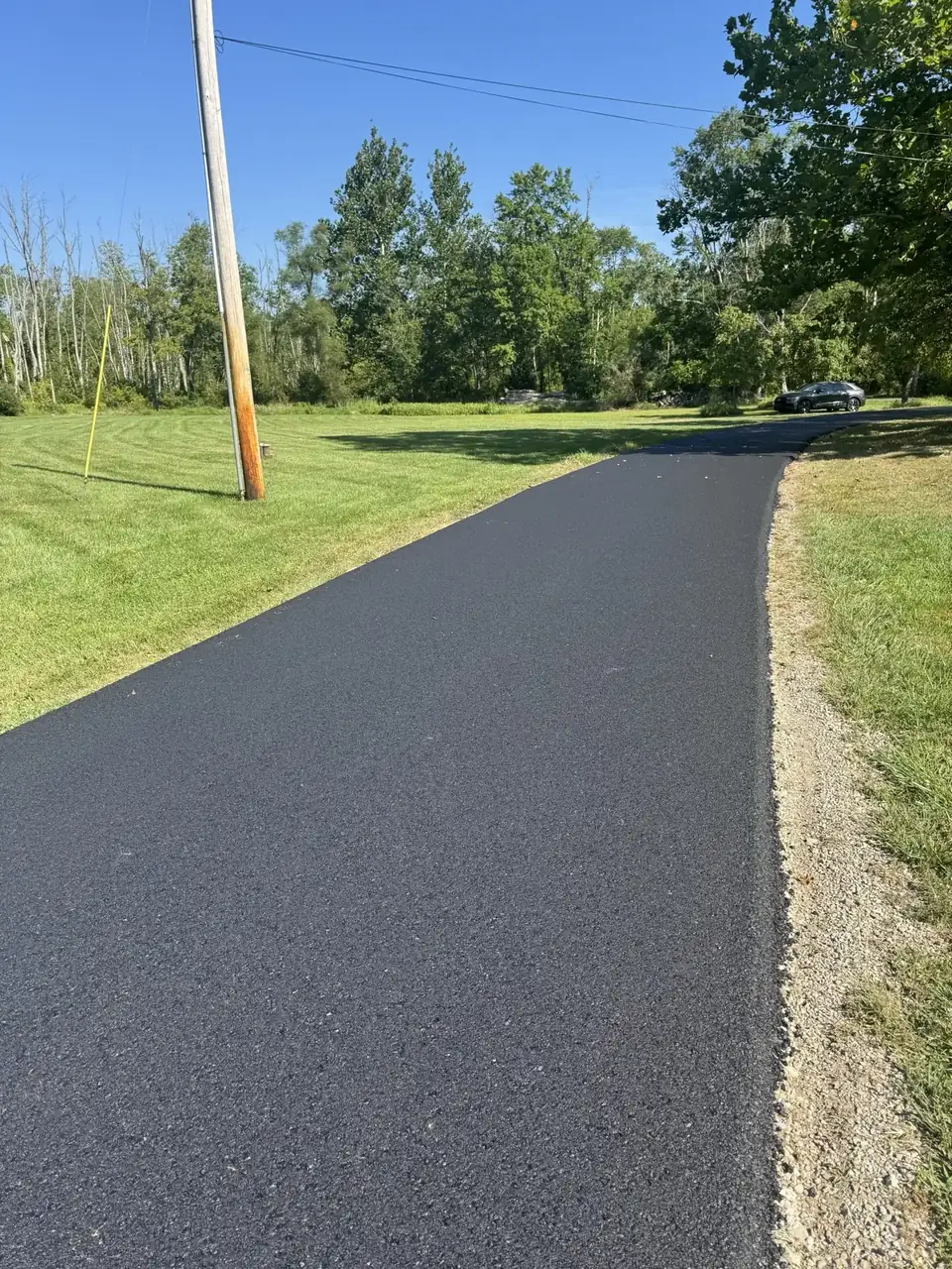 Tree-lined driveway with depth, paved by All County Paving in New Jersey